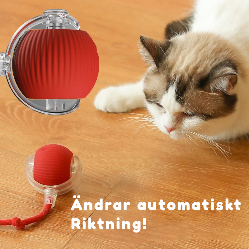 Kattbollenâą - Den smarta kattleksaken