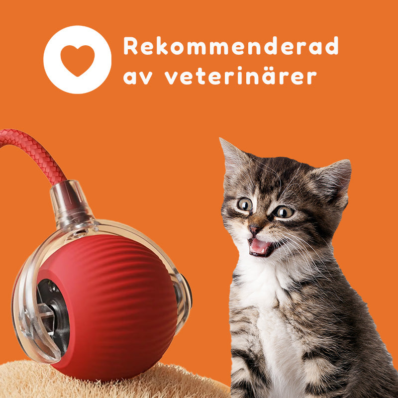 Kattbollenâą - Den smarta kattleksaken