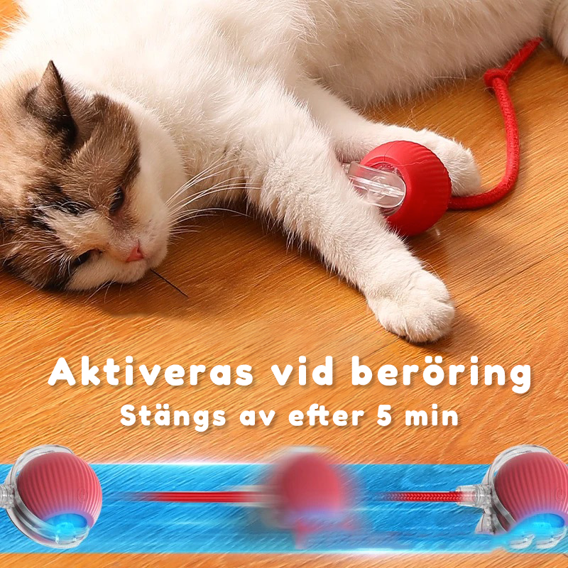 Kattbollenâą - Den smarta kattleksaken