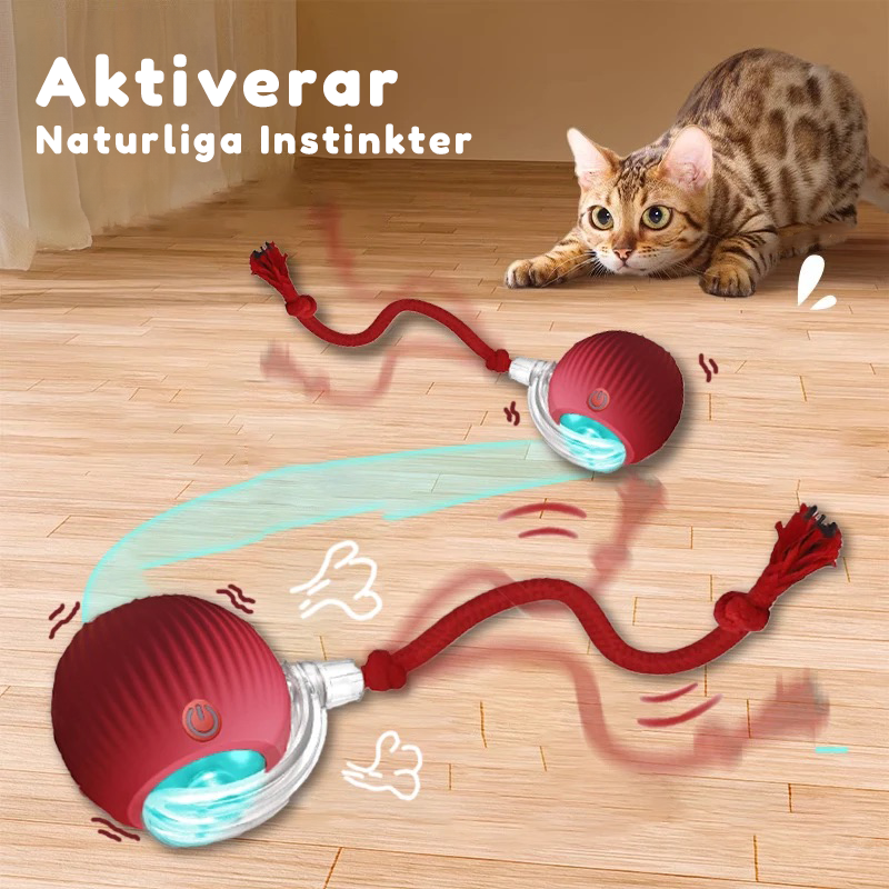 Kattbollen™ - Den smarta kattleksaken