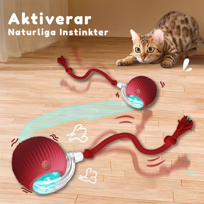 Kattbollen™ - Den smarta kattleksaken